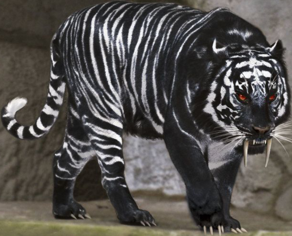  Black  Tiger  Zoo tycoon movie Wikia Fandom