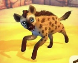 Zoo 2: Animal Park - Spotted Hyena | Zoo 2: Animal Park Wiki | Fandom