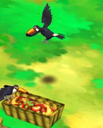 Zoo 2 Animal Park Toco Toucan Zoo 2 Animal Park Wiki