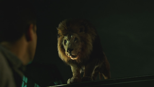 Fichier:1x01 Rudy lion Nick Eddie.png