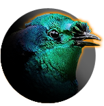 Cosmiusav
