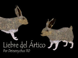 Liebre render