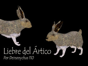 Liebre render