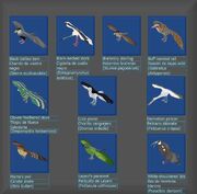 Avianparadisecomplete