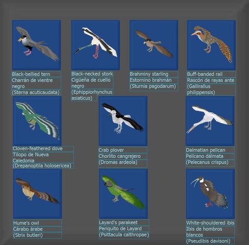 Archivo:Avianparadisecomplete.jpg