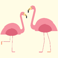 ZooKeepR Flamingoes