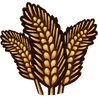Grains
