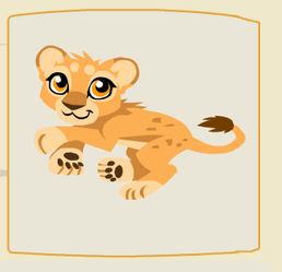 Lion