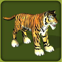 Bengal Tiger Zoo Tycoon Wiki Fandom