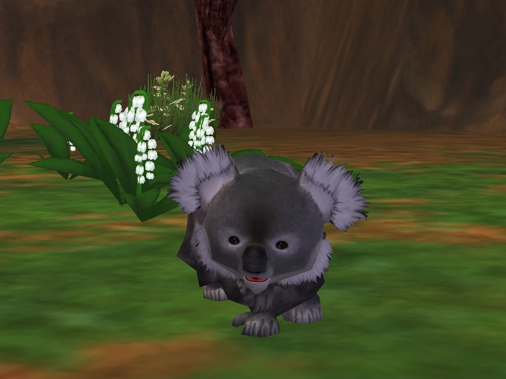 List of Official Animals in Zoo Tycoon 2 Zoo Tycoon Wiki FANDOM