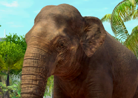 Asian Elephant | Zoo Tycoon Wiki | Fandom