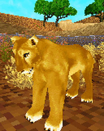 African Lion Zoo Tycoon Wiki Fandom