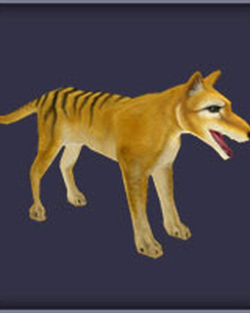 Thylacine Zoo Tycoon Wiki Fandom