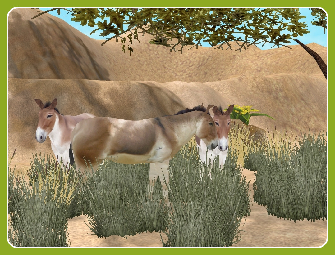 wild new world zoo tycoon 2 download wild new world zoo tycoon 2 download