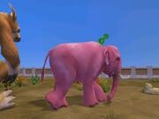 Pink Elephant Disease