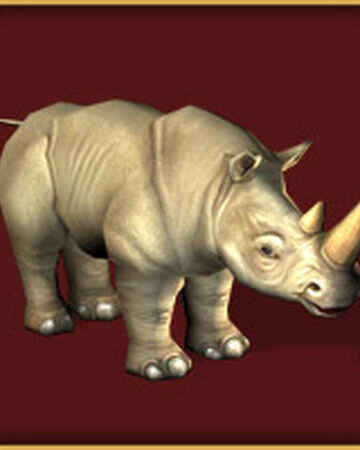 White Rhinoceros Zoo Tycoon Wiki Fandom