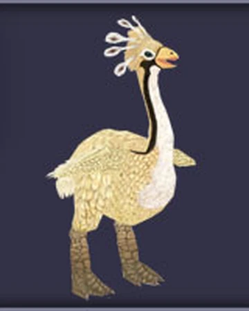 Elephant Bird Zoo Tycoon Wiki Fandom