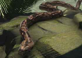 zoo tycoon 2 download snakes zoo tycoon 2 download snakes