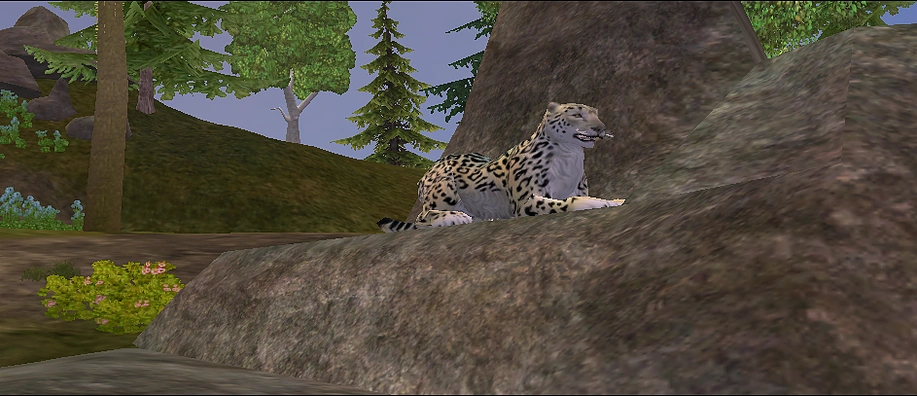 Snow Leopard | Zoo Tycoon Wiki | FANDOM powered by Wikia