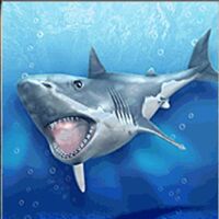 Great White Shark Zoo Tycoon Wiki Fandom