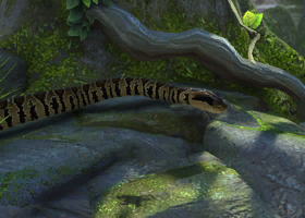 Zoo Tycoon 2 For Mac Ultimate Collection Zoo Tycoon 2 For Mac Ultimate Collection