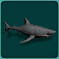 zoo tycoon 1 mods nurse shark