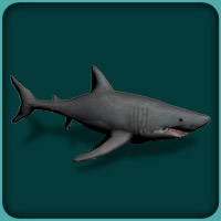 Great White Shark | Zoo Tycoon Wiki | FANDOM powered by Wikia