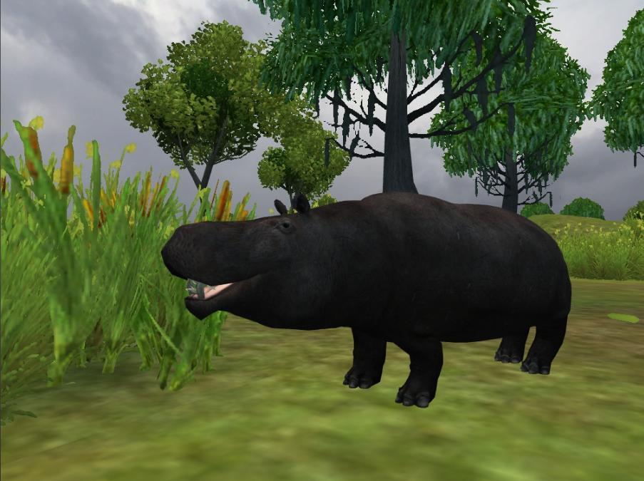 Cyprus dwarf hippopotamus | Zoo Tycoon Wiki | FANDOM powered by Wikia