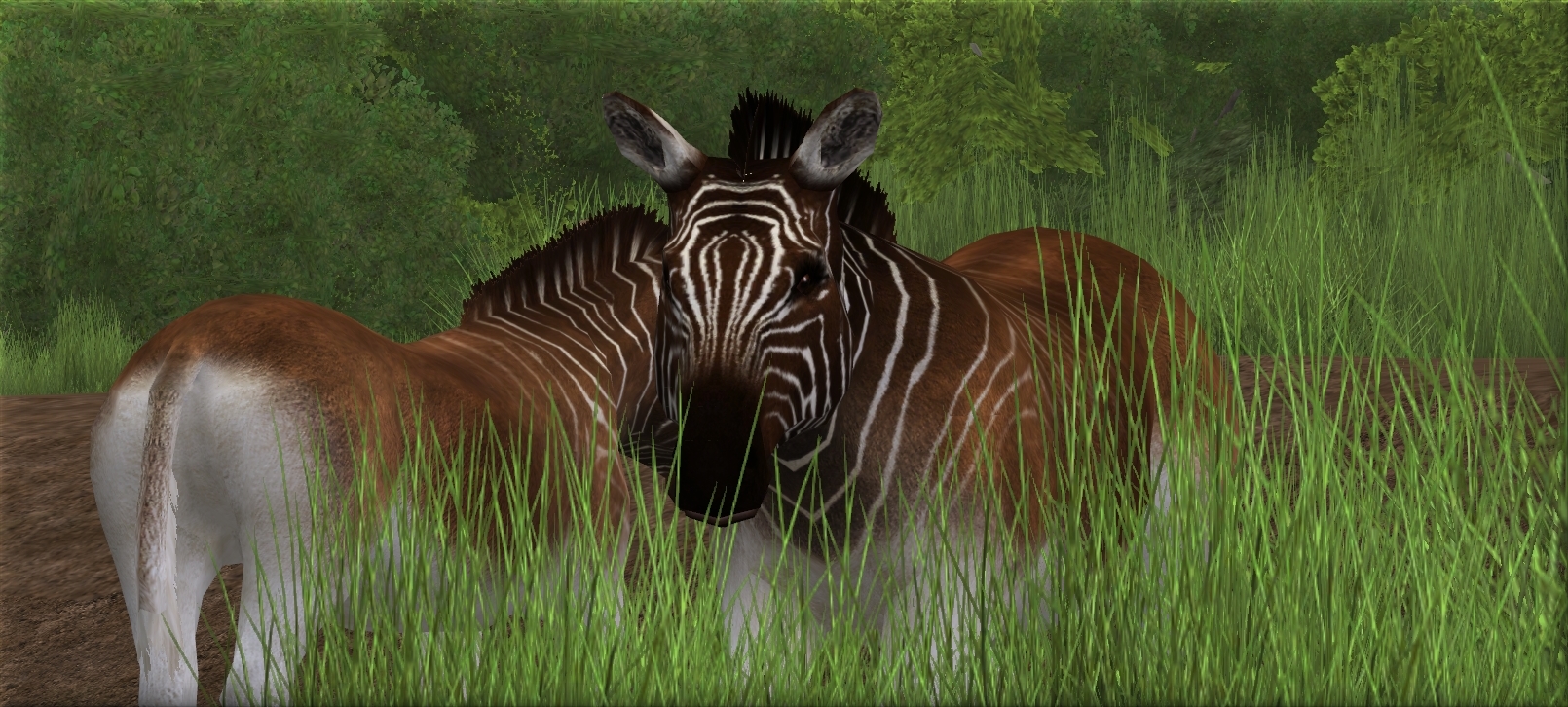 zoo tycoon community downloads directory