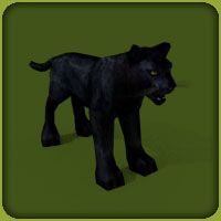 Black Leopard | Zoo Tycoon Wiki | FANDOM powered by Wikia