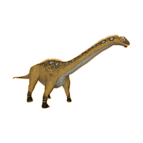 Apatosaurus | Zoo Tycoon Wiki | FANDOM powered by Wikia