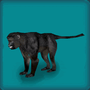 JavanLangurAvatar