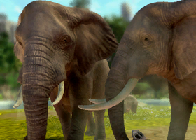 African Elephant | Zoo Tycoon Wiki | Fandom