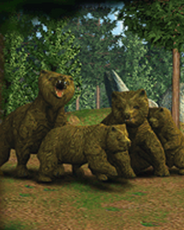 Grizzly Bear Zoo Tycoon Wiki Fandom