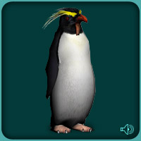 Zoo tycoon 2 killer penguin
