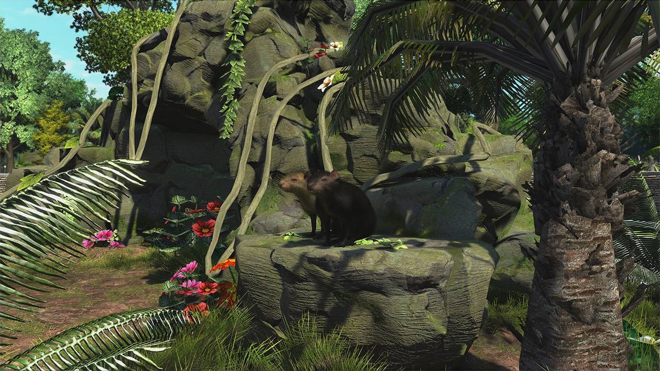 How To Zoo Tycoon On Mac