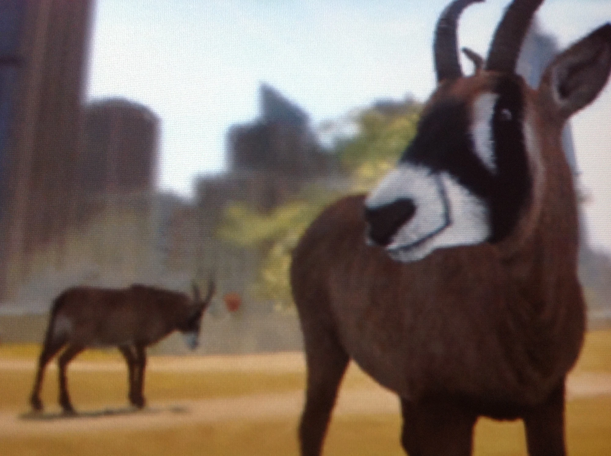 Roan Antelope Zoo Tycoon Wiki Fandom