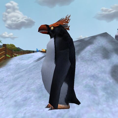 Zoo tycoon 2 adult killer penguin.jpg