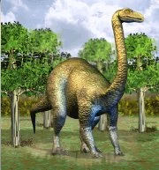 Zoo tycoon free download Zoo tycoon free download