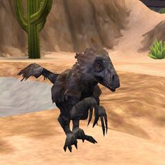 Velociraptor Zoo Tycoon Wiki Fandom Powered By Wikia - velociraptor jpg