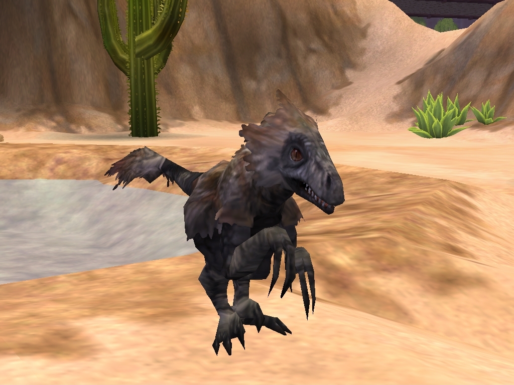 south america animals zoo tycoon
