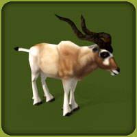 Zoo tycoon 2 addax download