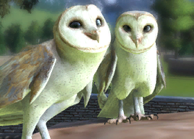 Common Barn Owl Zoo Tycoon Wiki Fandom