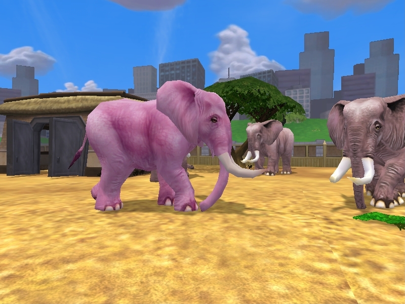 African Elephant | Zoo Tycoon Wiki | FANDOM powered by Wikia