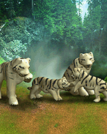 White Bengal Tiger Zoo Tycoon Wiki Fandom