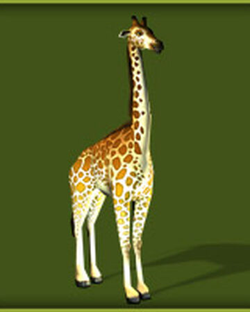 Reticulated Giraffe Zoo Tycoon Wiki Fandom