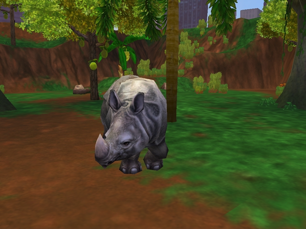 Javan Rhinoceros Zoo Tycoon Wiki Fandom