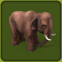 Asian Elephant | Zoo Tycoon Wiki | Fandom