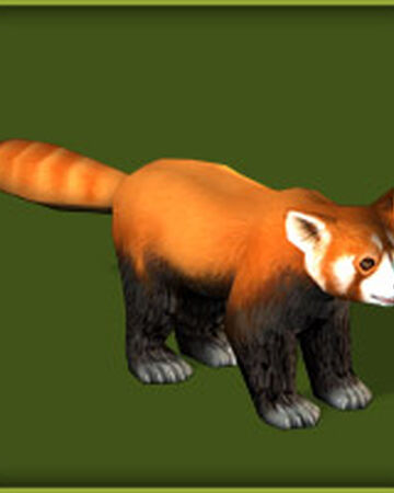 Red Panda Zoo Tycoon Wiki Fandom