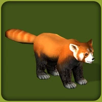 Red Panda | Zoo Tycoon Wiki | FANDOM powered by Wikia
